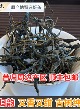 唐墨號普洱茶生茶2024云县大朝山昔元古树纯料春茶散茶500克/袋
