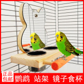 鹦鹉站杆镜子食杯盒不锈钢玩具磨爪玄凤牡丹虎皮中小型鸟笼子用品