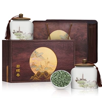 500 г подарочной коробки Qingshan Biluochun