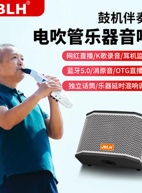 JBLH3鼓机音箱吉他音箱户外蓝牙电吹管电子琴萨克斯古筝乐器音响