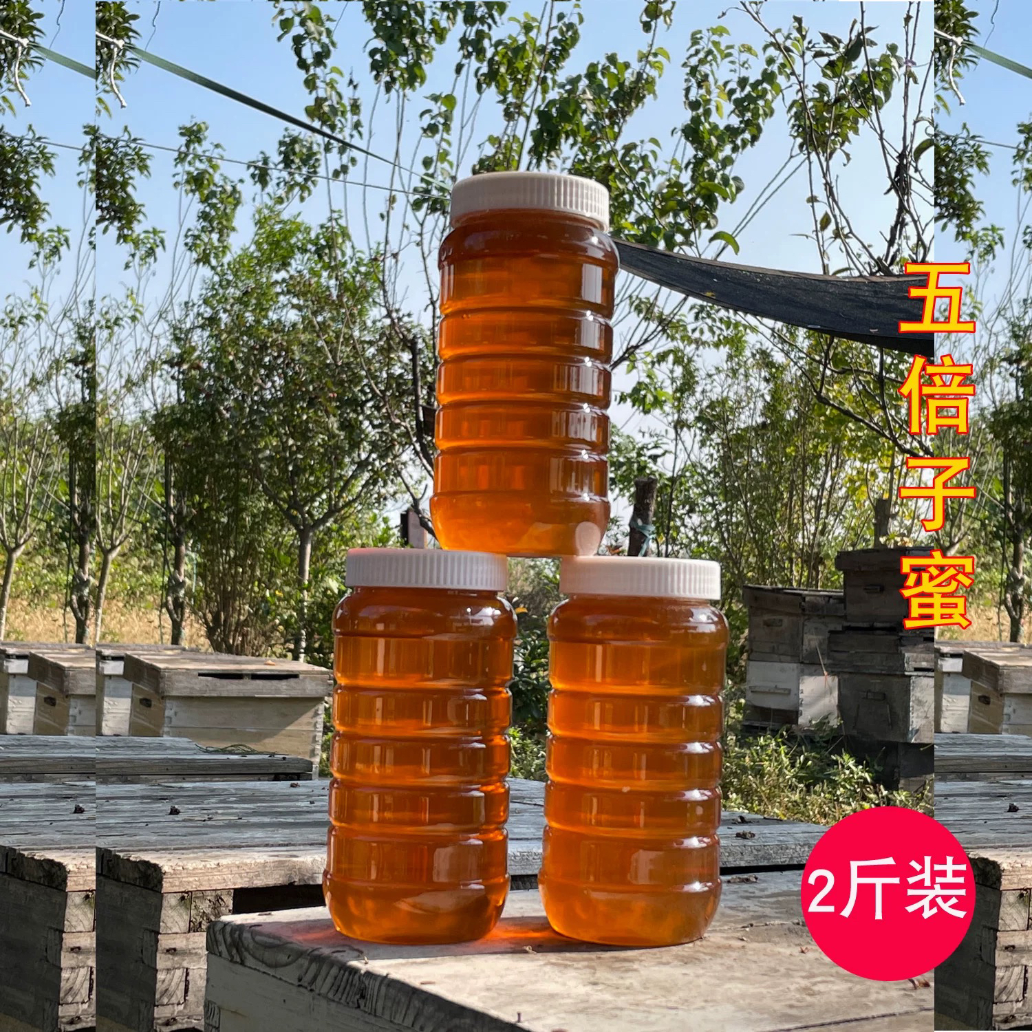 2024年纯正五倍子蜂蜜蜜天然自产无添全封盖补气湿纯蜂蜜