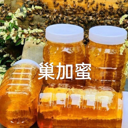低价促销2斤瓶装蜂巢蜜嚼着吃的土蜂蜜纯正天然蜂巢蜜商用代发