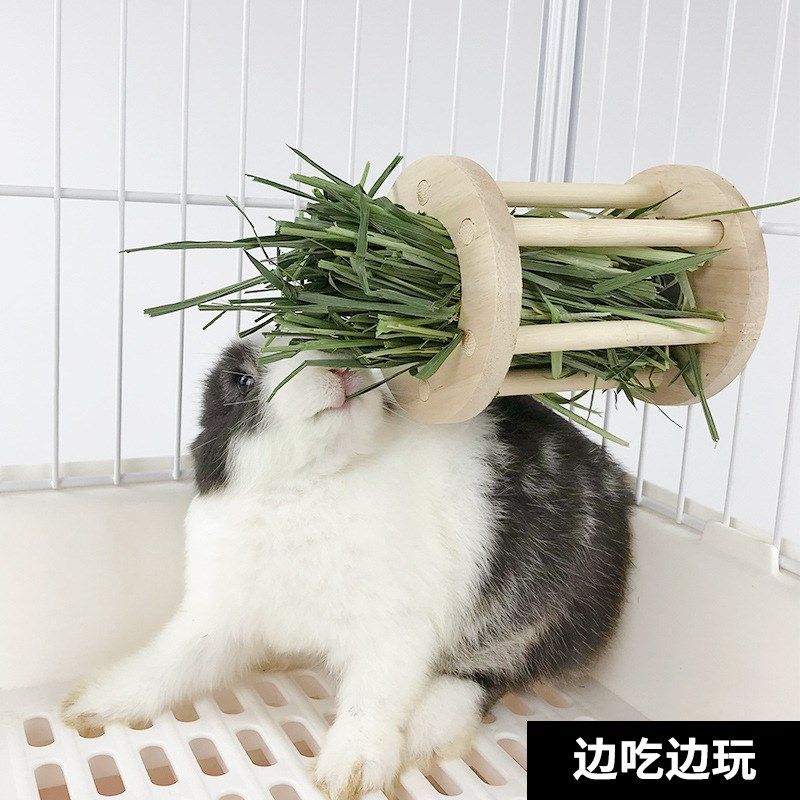 兔子木质草架豚鼠龙猫豚鼠宠物兔兔草桶内置可固定悬挂草架食盆,宠物/宠物食品及用品,窝,淘宝优惠券,粉丝福利购,淘宝优惠卷