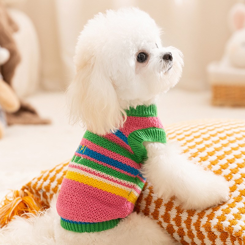 季狗狗简约彩色条纹毛衣保暖冬天针织衫套头两脚衣宠物狗衣服