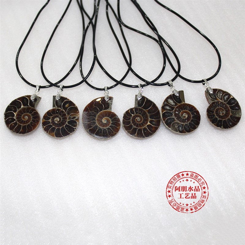 天然马达加斯加海螺化石切片吊坠螺菊石化石矿石标本女生项链