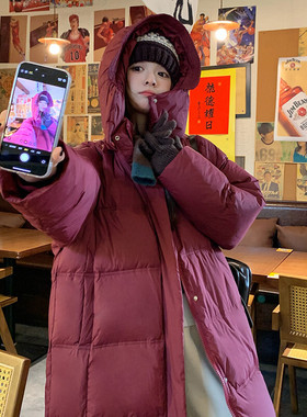 2024新款冬季长款羽绒282-Y19高克重新国标90绒P390k588