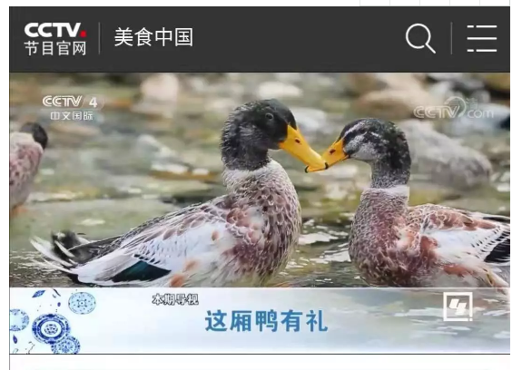 正宗三防香鸭农家散养清水鸭融水香鸭产地三防镇直供顺丰冷链包邮