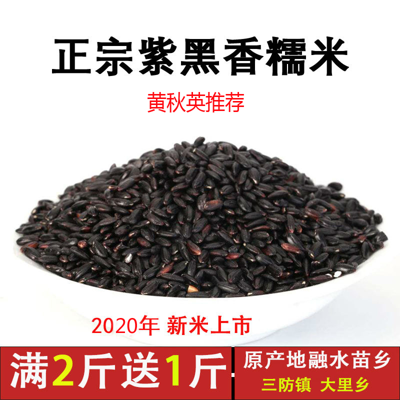 紫黑香糯米2025新鲜广西黑美人农家黑糯米紫糯米血糯米500g包邮