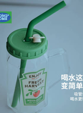 男士玻璃水杯小众ins风高硼硅玻璃耐冷耐热吸管杯带盖把手冷饮杯