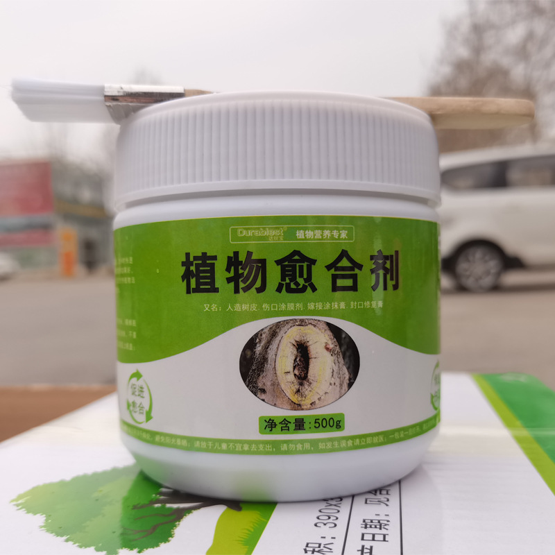 树木伤口愈合膏果树伤口涂膜剂大树创伤涂抹剂树干封口愈合剂