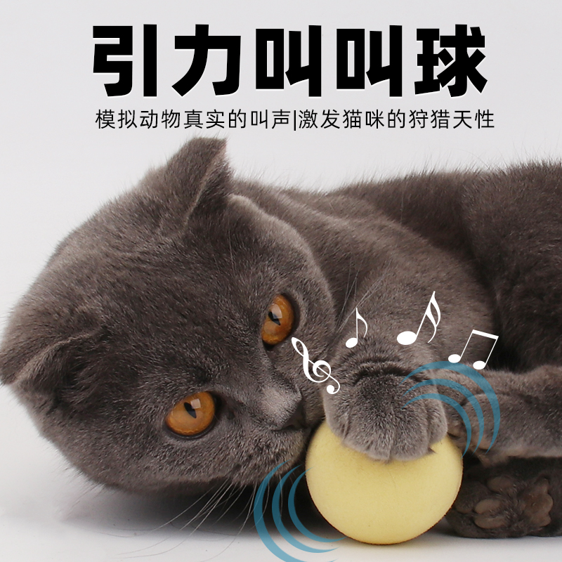 逗猫玩具引力宠物薄荷发声磨牙