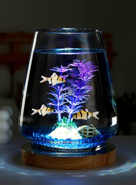 创意桌面迷你泰国小斗鱼缸玻璃生态瓶造景养鱼水草办公桌灯光底座