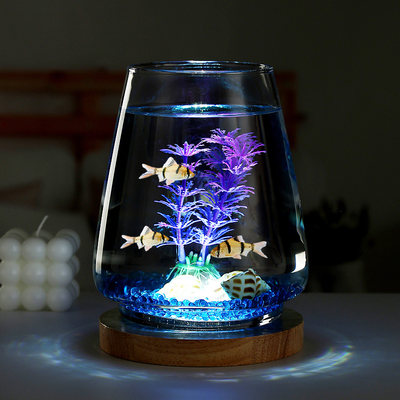 玻璃生态造景办公桌灯光金鱼缸