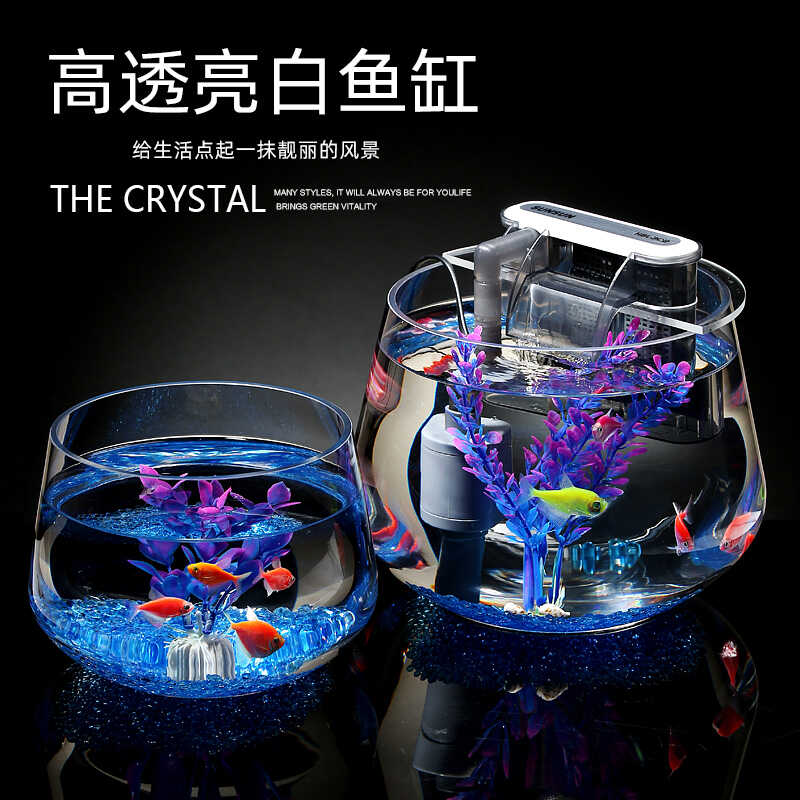 透明家用下鱼缸JIJIGLASS玻璃