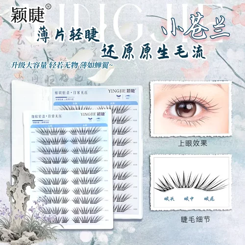 小苍兰假睫毛超软单簇假睫毛卷翘清透分段式自然仿真柔软初学者
