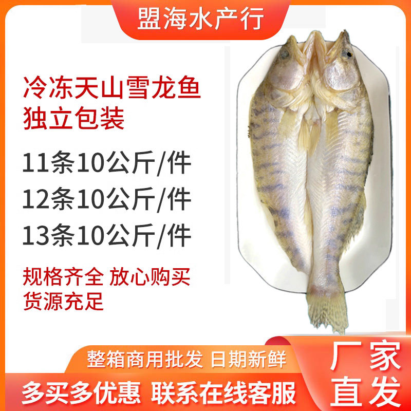 天山雪龙鱼腌制开背净膛鳕龙鱼清蒸宴席酒店入味半成品商用食材