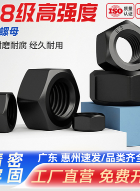 8.8级六角螺母高强度螺丝帽黑色螺栓帽M4M5M14M16M18M20M22M30M33