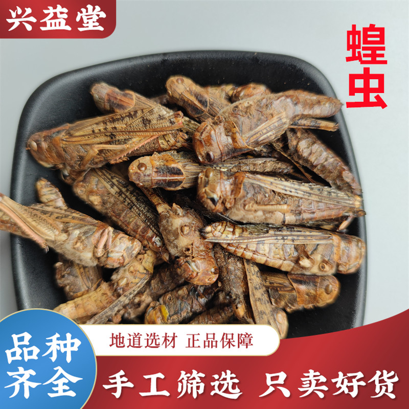 蝗虫中药材500克包邮正品蝗虫干 蚂蚱干 草蜢虫蜢飞蝗花虫 可磨粉
