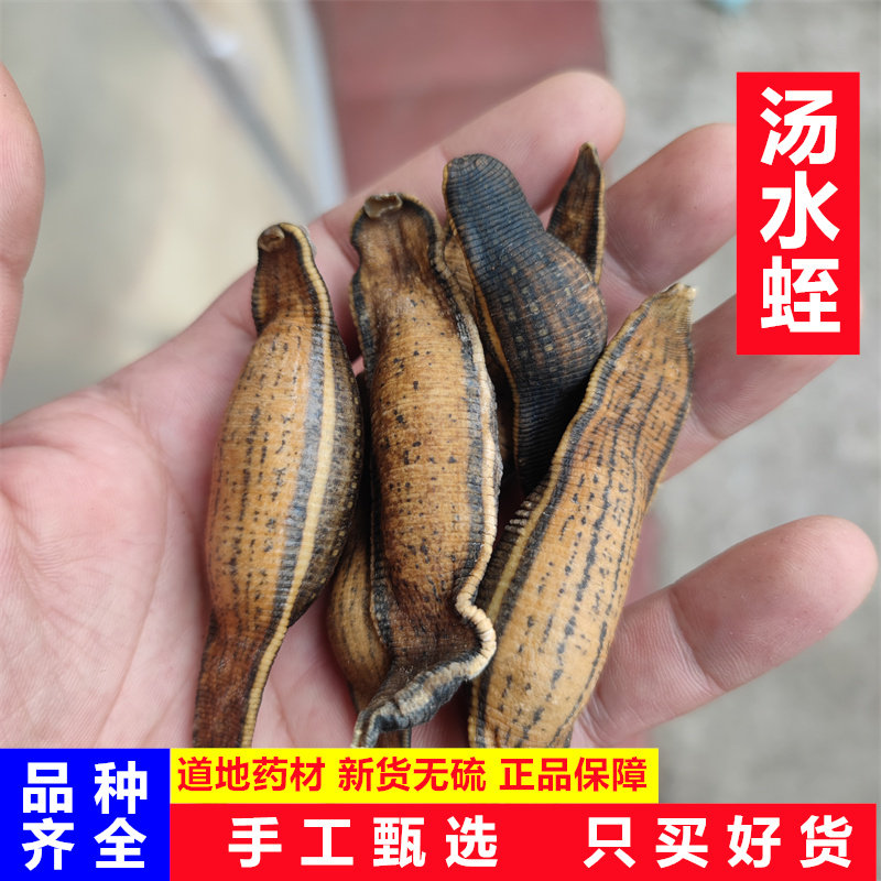 水蛭干中药材500克正品烫水蛭干货野生蚂蟥宽体金线蚂蟥干水蛭粉