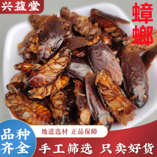 蟑螂中药材正品1000克美洲大蜚蠊干小强偷油婆茶婆虫香娘子蟑螂粉