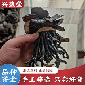 云南深山特级野生灵芝干货100克纯天然竹灵芝小红灵紫灵芝中药材