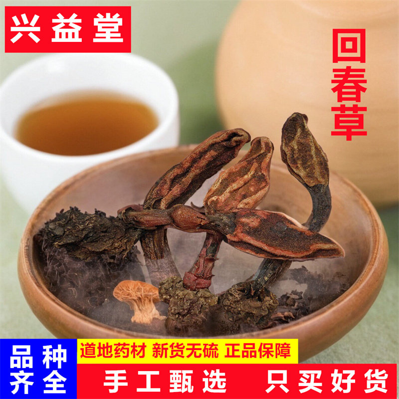 回春草中药材500克不老草顶天住新鲜干货泡水泡酒料男性滋补泡酒