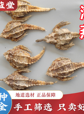 海燕中药材250g正品新货 海燕 圆燕 海麻雀 煲汤泡酒 另有海龙