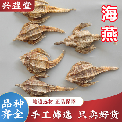 海燕中药材250g正品新货 海燕 圆燕 海麻雀 煲汤泡酒 另有海龙