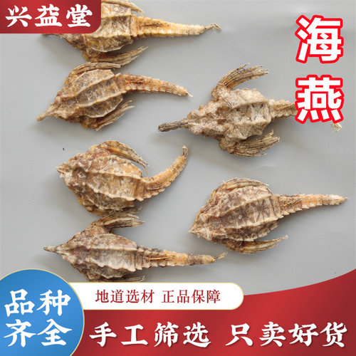 海燕中药材250g正品新货 海燕 圆燕 海麻雀 煲汤泡酒 另有海龙