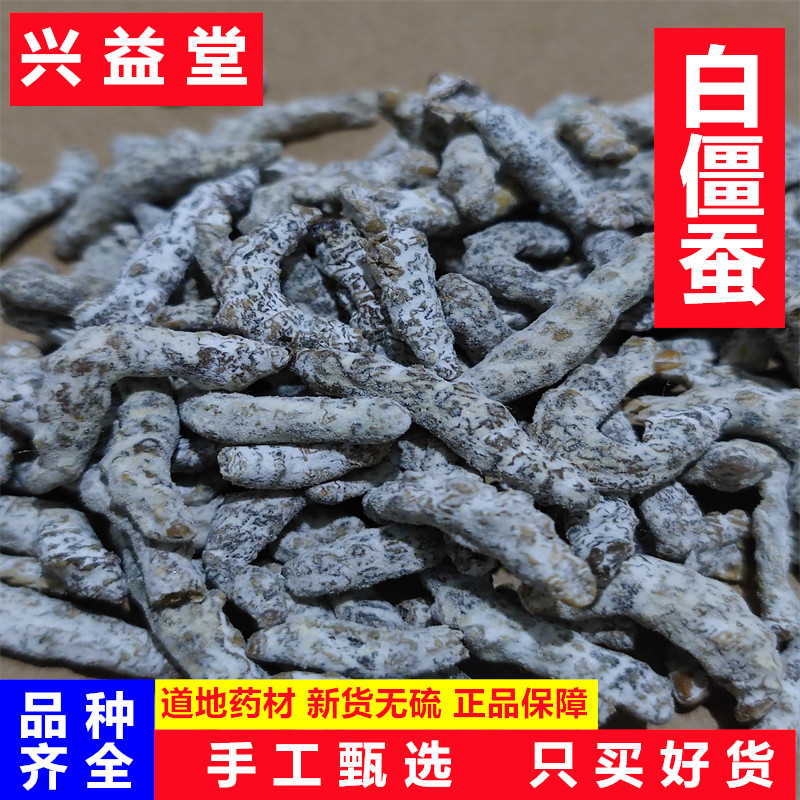 中药材粉白僵虫天虫姜蚕姜虫炒干