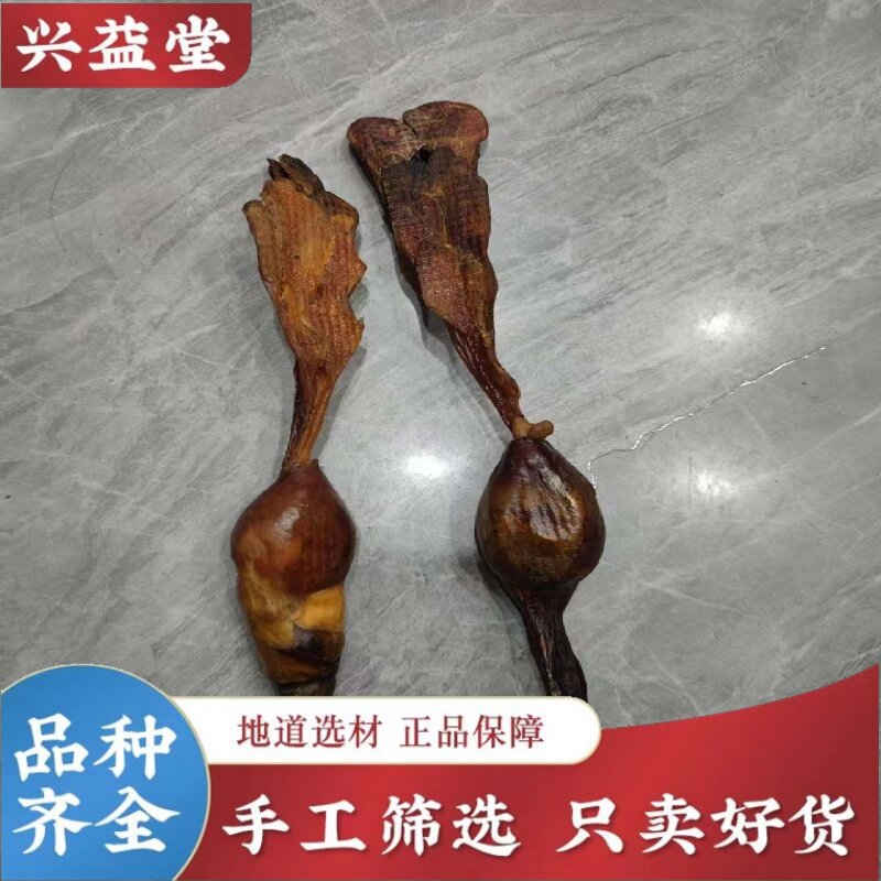 黄狗鞭黄狗肾正品中药材鞭干整根