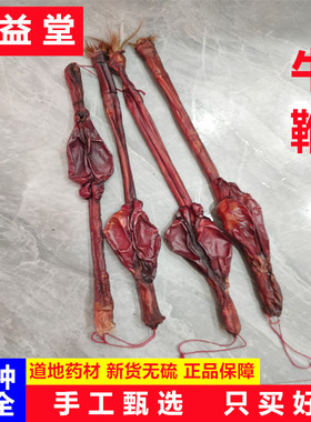 牛鞭中药材整条黑牛鞭黄牛鞭带蛋睾丸牛宝干货适用泡酒鞭男用煲汤
