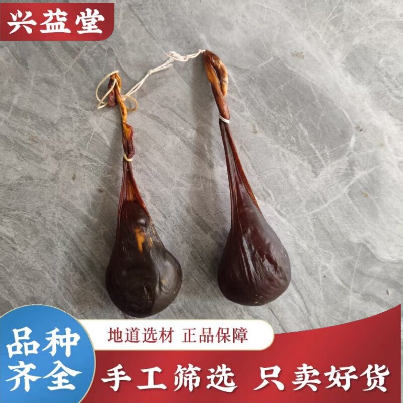 牛胆中药材正品120克左右滋补牛苦胆自然阴干养身养肝护肝黄牛胆