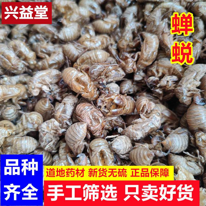 蝉蜕中药材250克包邮正品金蝉衣知了皮 蝉蜕壳蝉退壳 伏壳 蝉蜕粉