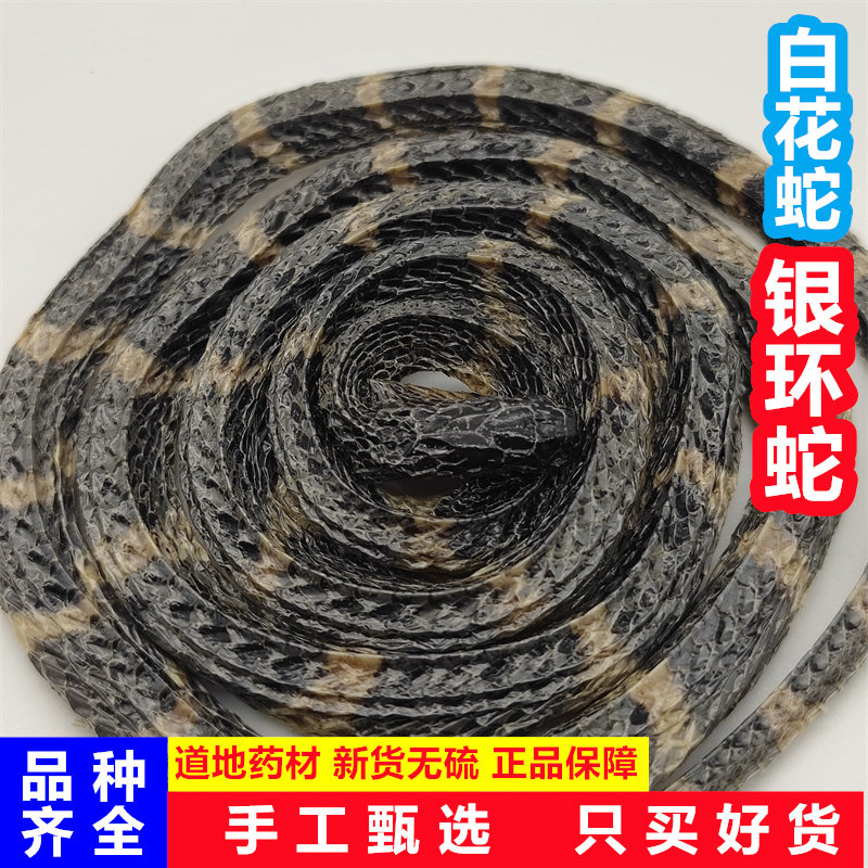 中药材正宗银环蛇金钱白花蛇