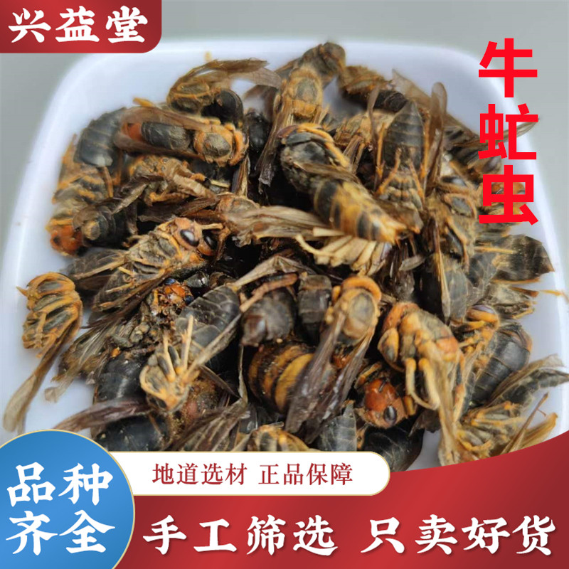 牛虻虫中药材正品500克包邮 大牛虻虫 牛苍蝇牛蚊子牛虻干 可打粉
