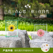 「Little 裱创意摆件展示 nook」DIY悬浮亚克力相框摆台透明挂墙装