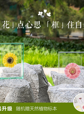 「Little nook」DIY悬浮亚克力相框摆台透明挂墙装裱创意摆件展示