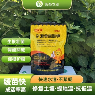 矿源黄腐酸钾微生物菌剂肥生根壮苗改良土壤蔬菜水溶肥调节酸碱