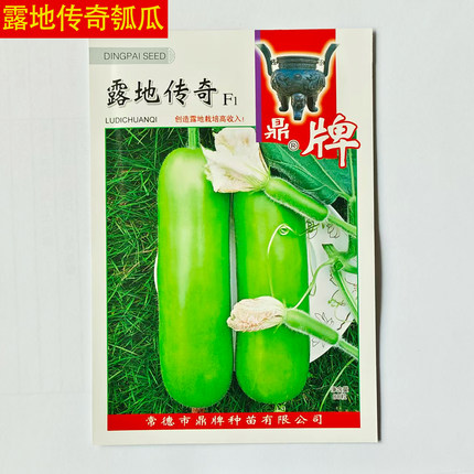 鼎牌露地传奇瓠瓜种子短棒型早熟蒲瓜高产粗细均匀易座果蔬菜基地