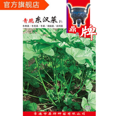 鼎牌东汉菜高钙菜冬寒菜