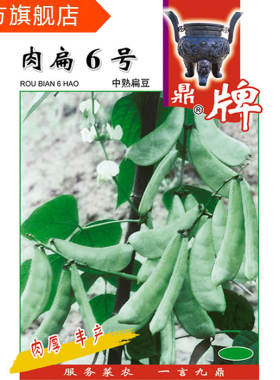 鼎牌肉扁6号扁豆 中熟 鲜荚乳白色 肉质肥厚 纤维少 品质好 高产