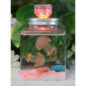 水母活物缸家养好养儿童学生桌面小动物宠物迷你懒人水族箱赤月