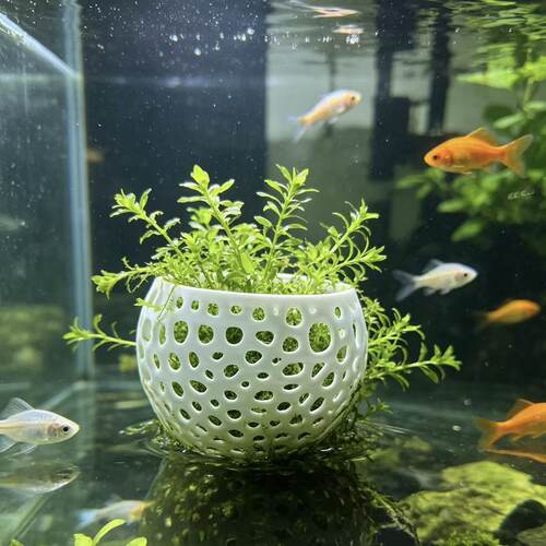 水草镂空虾屋躲避小鱼鱼缸造景孔雀鱼3d打印镂空花盆水培水族用品