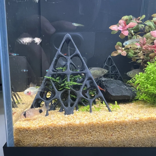 镂空小鱼小虾躲避鱼缸造景黑壳塑料莫斯水鱼虾草房水晶繁殖摆件