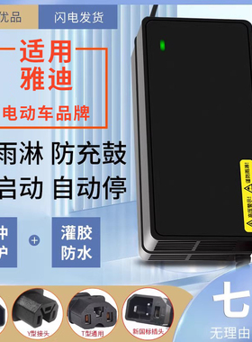 适用于雅迪电动车48V12AH60V20AH72V20AH电瓶充电器
