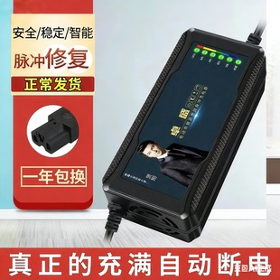电动车电瓶充电器48V12AH60V20安72V32爱玛雅迪台铃小刀铅酸通用