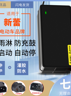 适用于新蕾电动车电瓶充电器国标48V12AH60V20AH72V32A适用