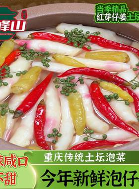 临峰山泡仔姜重庆脆嫩