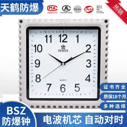 防爆钟防水BSZ石英钟钟表挂钟